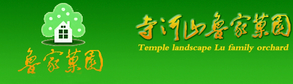 微型軸承